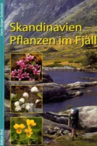 Skandinavien - Pflanzen im Fjäll