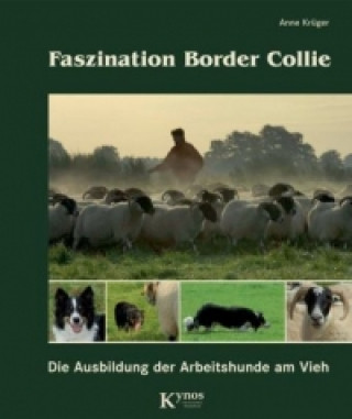 Faszination Border Collie