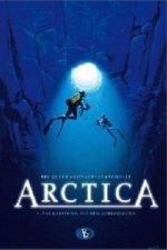 Arctica - Das Geheimnis auf dem Meeresgrund