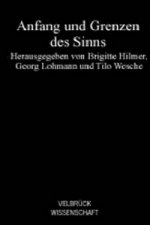 Anfang und Grenzen des Sinns