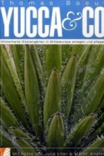 Yucca & Co