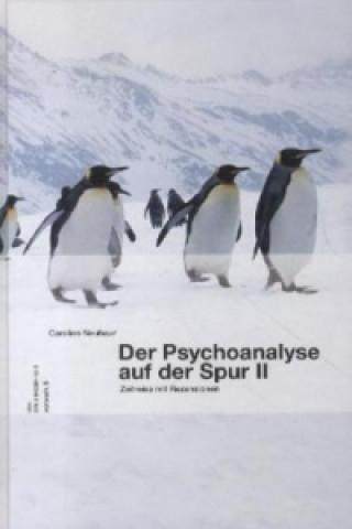 Der Psychoanalyse auf der Spur. Bd.2