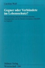 Gegner oder Verbündete im Lebensschutz?