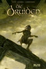 Druiden, Die