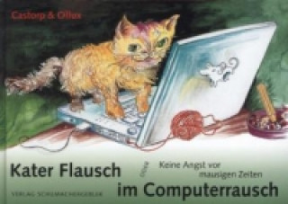 Kater Flausch im Computerrausch