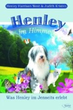 Henley im Himmel