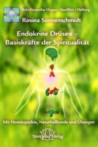 Endokrine Drüsen - Basiskräfte der Spiritualität