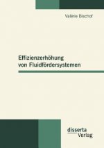 Effizienzerhoehung von Fluidfoerdersystemen