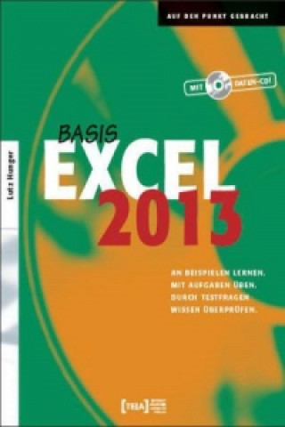 Excel 2013 Basis, m. Daten-CD