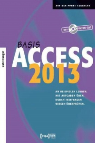 Access 2013 Basis, m. CD-ROM