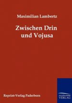 Zwischen Drin und Vojusa