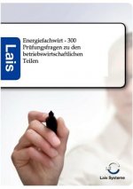 Energiefachwirt - 300 Prufungsfragen zu den betriebswirtschaftlichen Teilen
