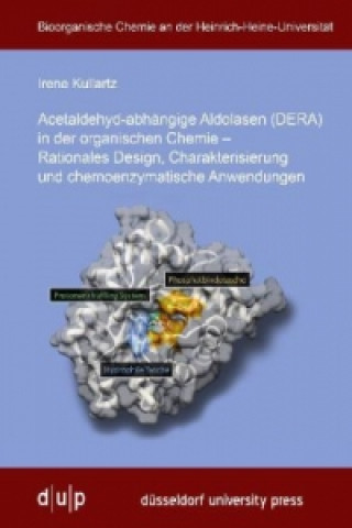 Acetaldehyd-abhängige Aldolasen (DERA) in der organischen Chemie