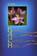 Bachblüten-Buch /Solo