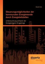 Steuerungsmoeglichkeiten der kommunalen Energiewende durch Energieleitstellen