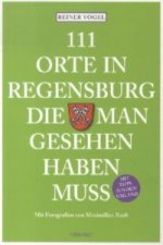 111 Orte in Regensburg, die man gesehen haben muss
