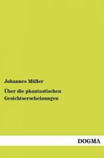 UEber die phantastischen Gesichtserscheinungen