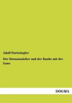 Dornauszieher und der Knabe mit der Gans