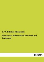 Illustrierter Fuhrer durch New York und Umgebung