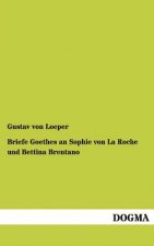 Briefe Goethes an Sophie Von La Roche Und Bettina Brentano