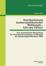 Amerikanisierung bundesrepublikanischer Wahlkampfe - Fakt oder Fiktion? Eine systematische UEberprufung der Amerikanisierungsthese am Beispiel des Bun