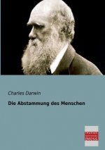 Abstammung Des Menschen