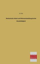 Mechanische Arbeit Und Warmeentwicklung Bei Der Muskeltatigkeit