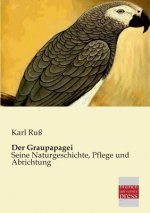 Graupapagei