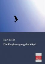 Flugbewegung Der Vogel