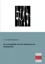 Lymphgefasse Und Ihre Beziehung Zum Bindegewebe