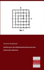 Einfuhrung in Die Infinitesimalrechnung Mit Einer Historischen Ubersicht