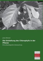 Entstehung Des Chlorophylls in Der Pflanze