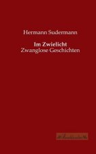 Im Zwielicht