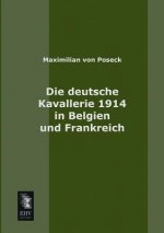 Deutsche Kavallerie 1914 in Belgien Und Frankreich