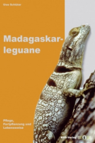 Madagaskarleguane