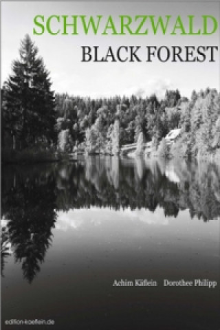 Schwarzwald /Black Forest. Black Forest