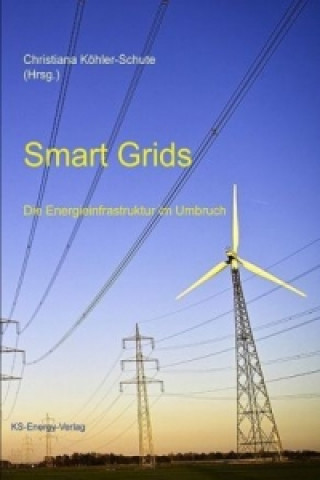 Smart Grids