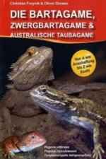 Die Bartagame, Zwergbartagame & Australische Taubagame