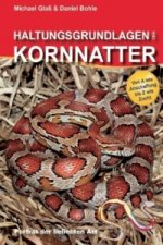 Haltungsgrundlagen der Kornnatter