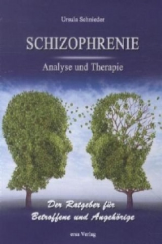 Schizophrenie - Analyse und Therapie