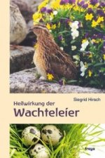 Heilwirkung der Wachteleier