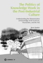 The Politics of Knowledge Work in the Post-Industrial Culture