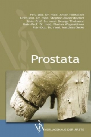 Prostata