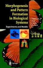 Morphogenesis and Pattern Formation in Biological Systems