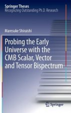 Probing the Early Universe with the CMB Scalar, Vector and Tensor Bispectrum