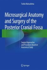 Microsurgical Anatomy and Surgery of the Posterior Cranial Fossa