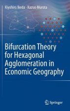 Bifurcation Theory for Hexagonal Agglomeration in Economic Geography