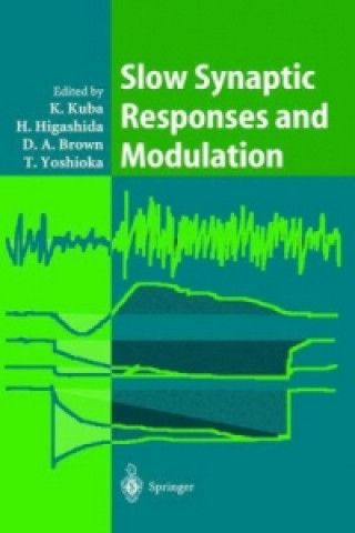 Slow Synaptic Responses and Modulation