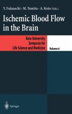 Ischemic Blood Flow in the Brain