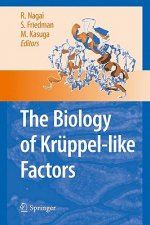 Biology of Kruppel-like Factors